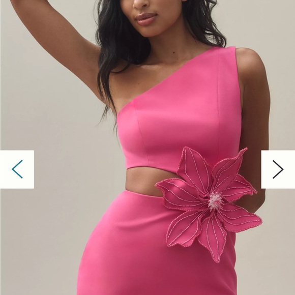 PatBO One-Shoulder Pink Appliqué Midi-Dress - Picture 3 of 5